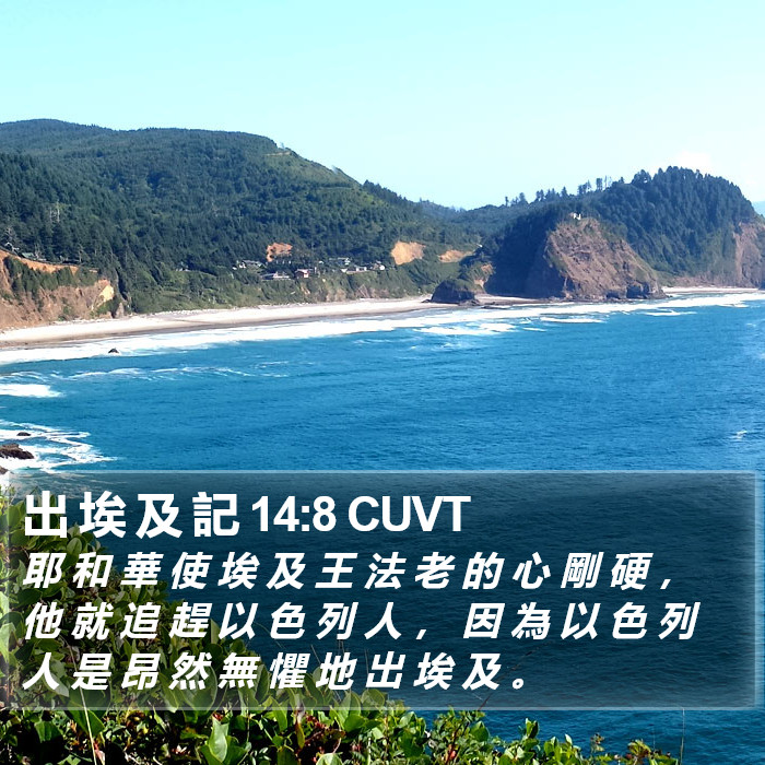 出 埃 及 記 14:8 CUVT Bible Study