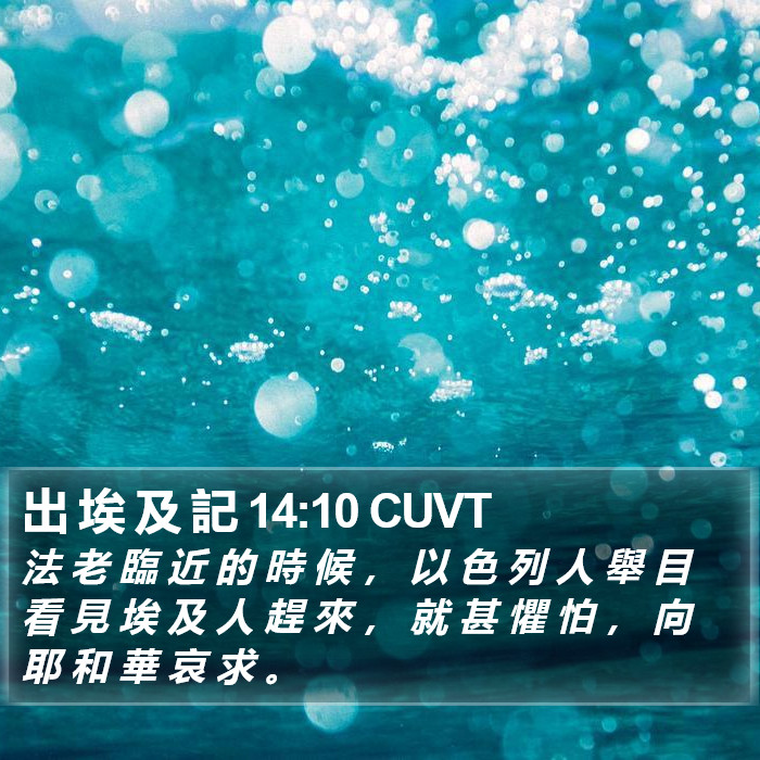 出 埃 及 記 14:10 CUVT Bible Study