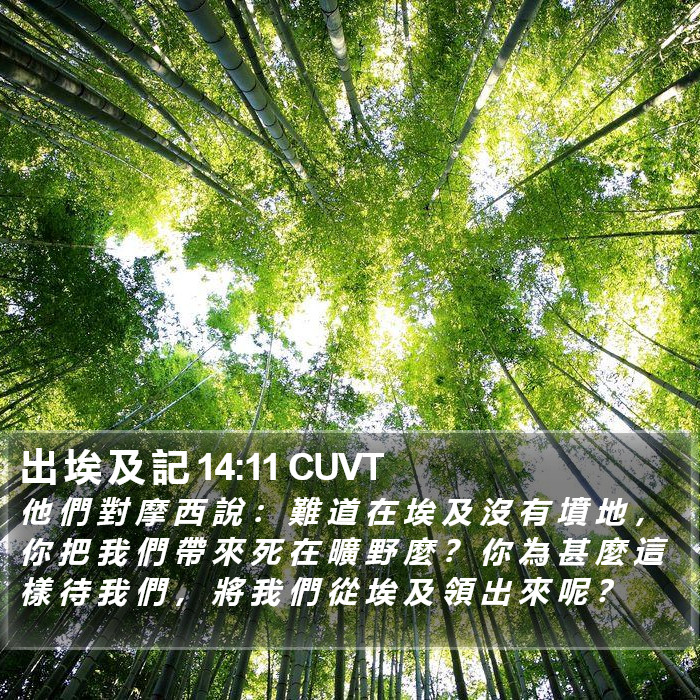 出 埃 及 記 14:11 CUVT Bible Study