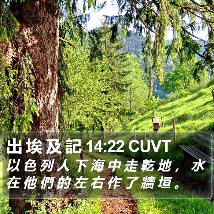 出 埃 及 記 14:22 CUVT Bible Study