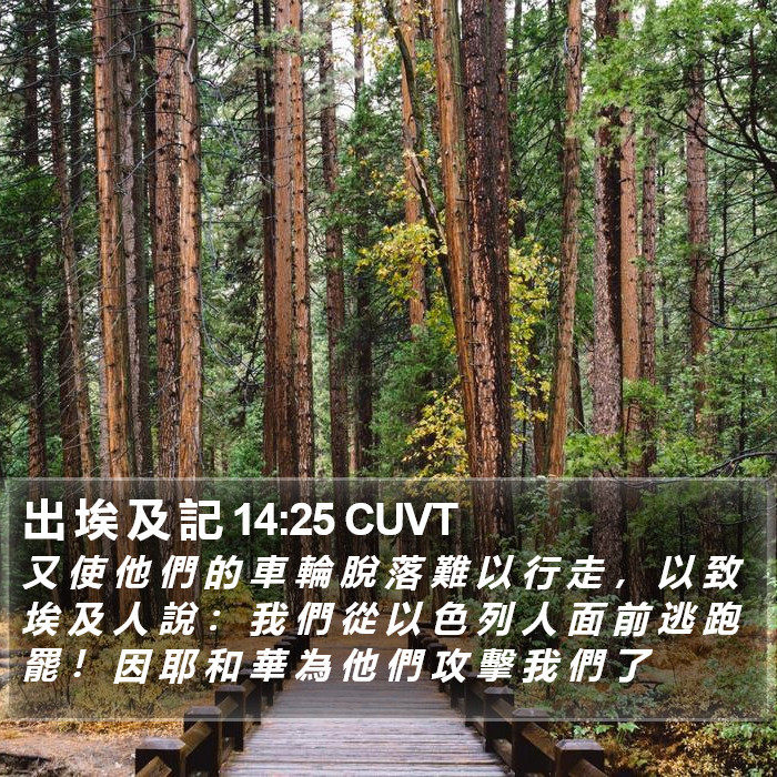 出 埃 及 記 14:25 CUVT Bible Study