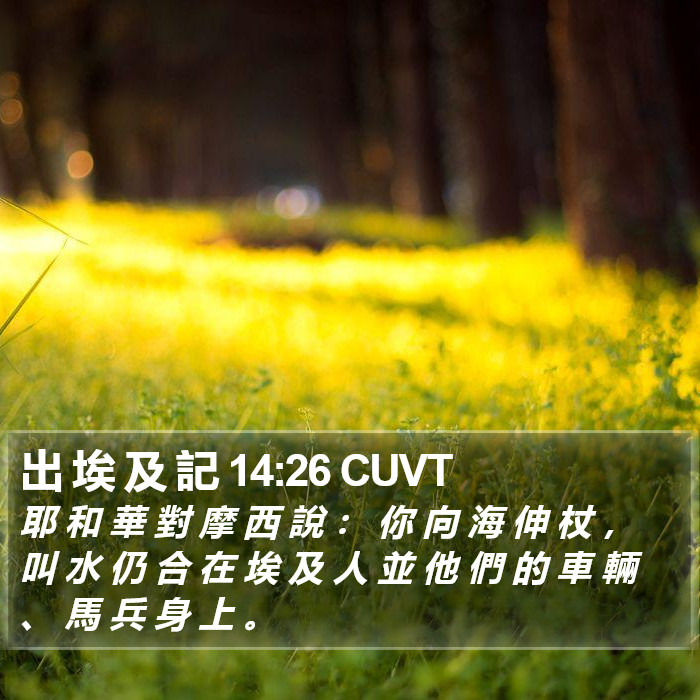 出 埃 及 記 14:26 CUVT Bible Study