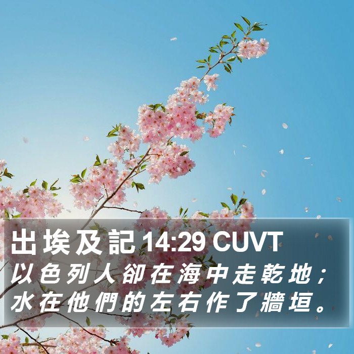 出 埃 及 記 14:29 CUVT Bible Study