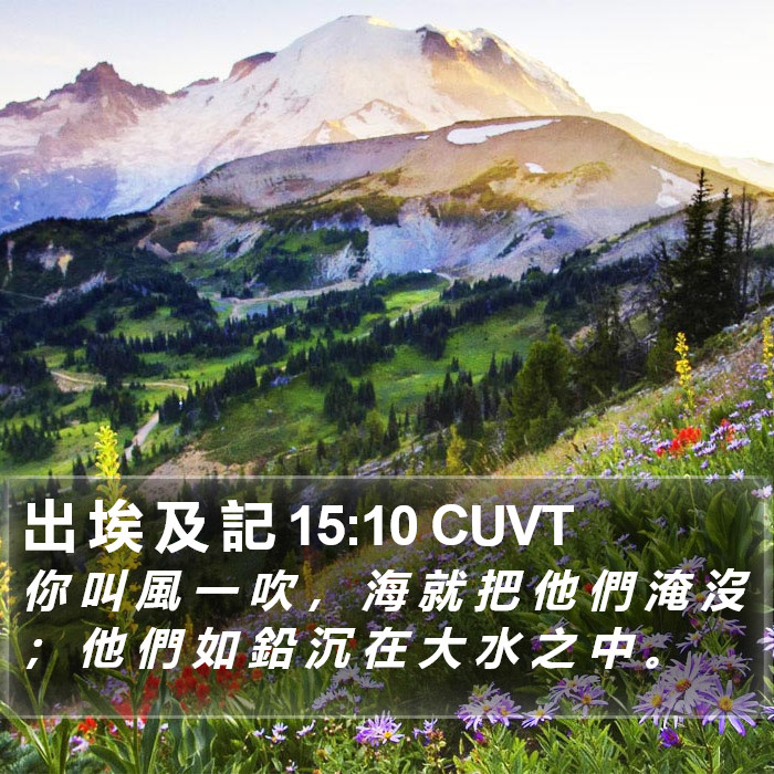 出 埃 及 記 15:10 CUVT Bible Study