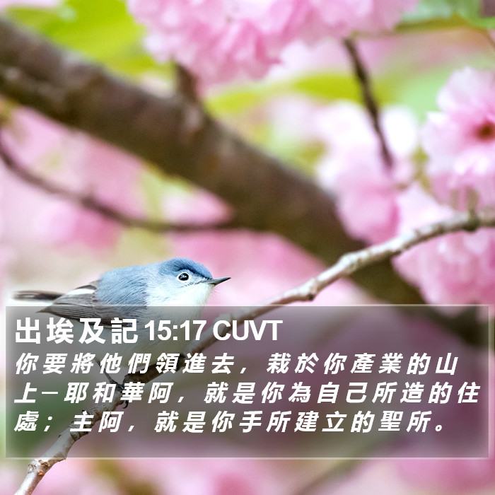 出 埃 及 記 15:17 CUVT Bible Study