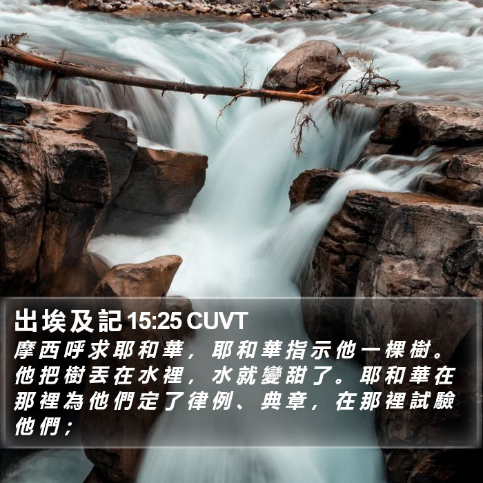 出 埃 及 記 15:25 CUVT Bible Study