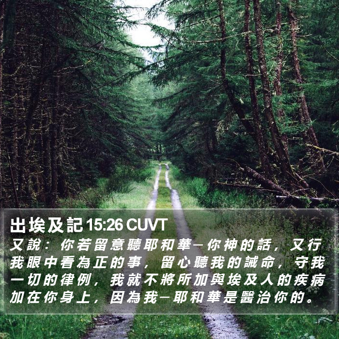 出 埃 及 記 15:26 CUVT Bible Study