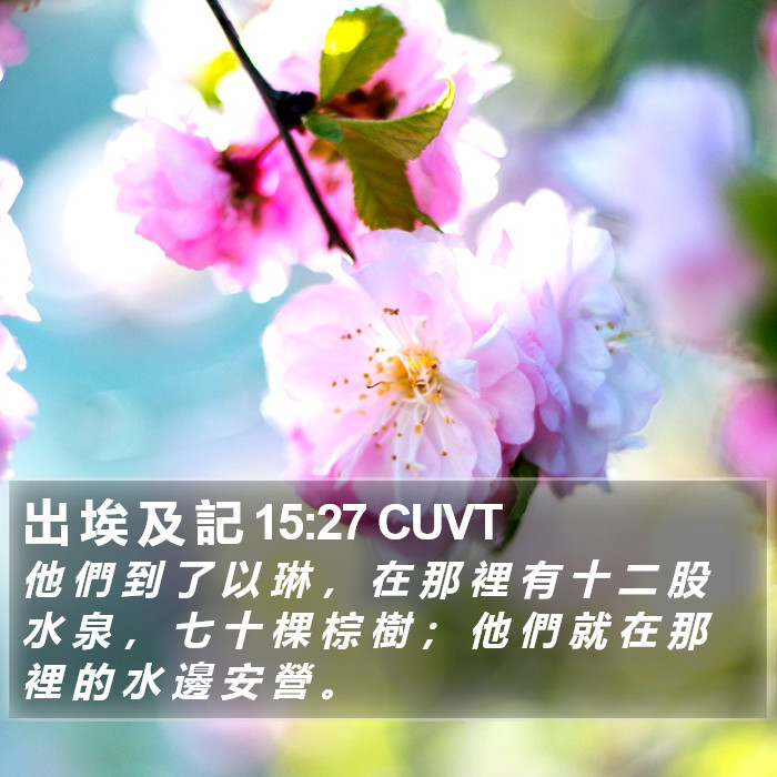 出 埃 及 記 15:27 CUVT Bible Study