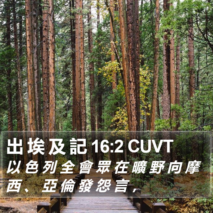 出 埃 及 記 16:2 CUVT Bible Study