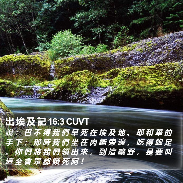出 埃 及 記 16:3 CUVT Bible Study