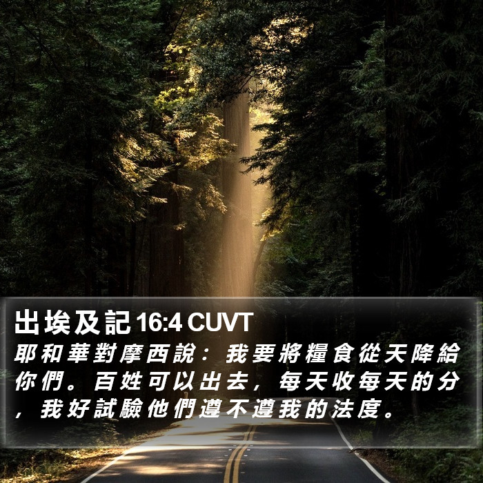 出 埃 及 記 16:4 CUVT Bible Study