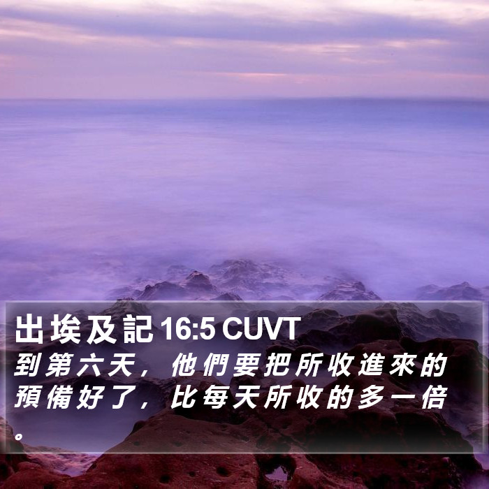 出 埃 及 記 16:5 CUVT Bible Study