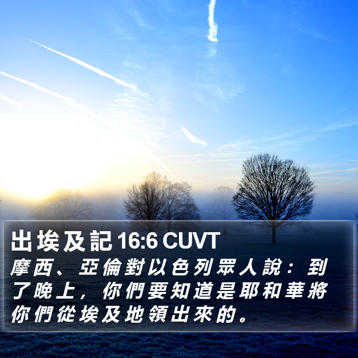 出 埃 及 記 16:6 CUVT Bible Study