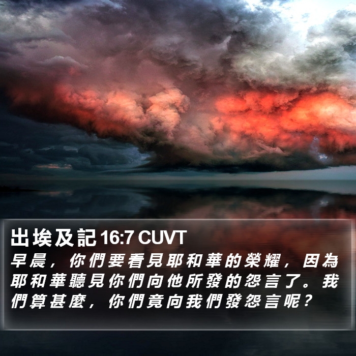 出 埃 及 記 16:7 CUVT Bible Study