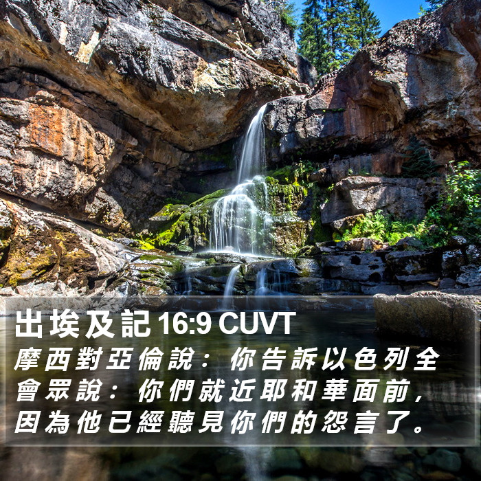 出 埃 及 記 16:9 CUVT Bible Study