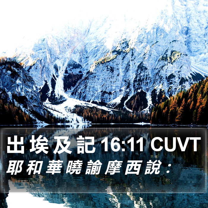 出 埃 及 記 16:11 CUVT Bible Study