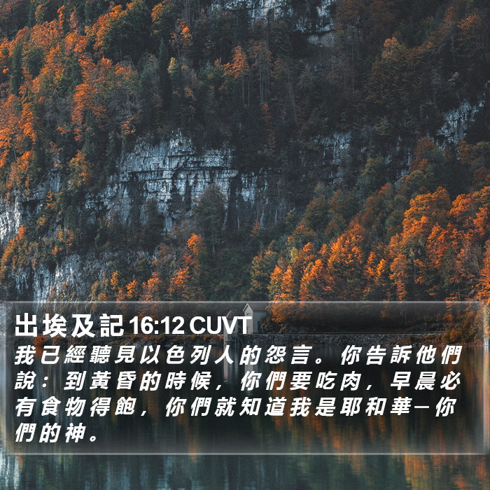 出 埃 及 記 16:12 CUVT Bible Study