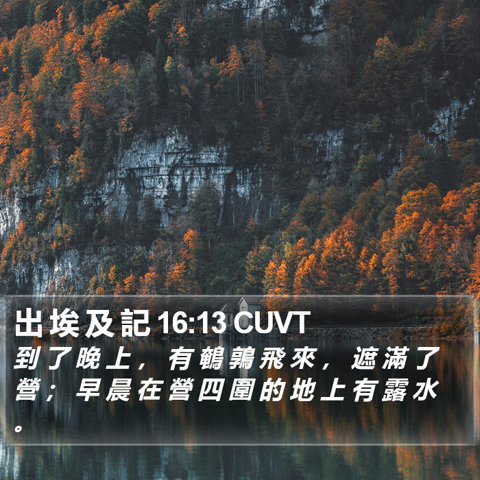 出 埃 及 記 16:13 CUVT Bible Study