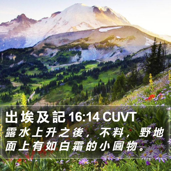 出 埃 及 記 16:14 CUVT Bible Study