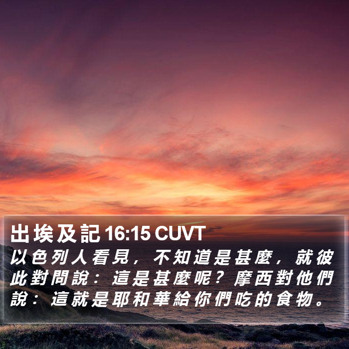 出 埃 及 記 16:15 CUVT Bible Study