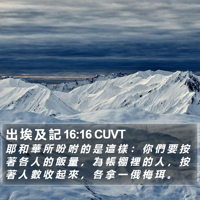 出 埃 及 記 16:16 CUVT Bible Study