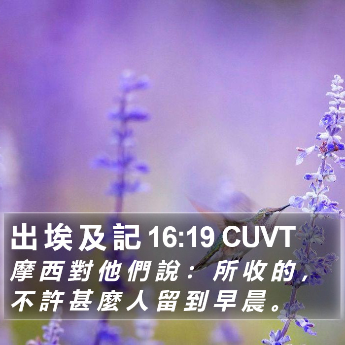 出 埃 及 記 16:19 CUVT Bible Study