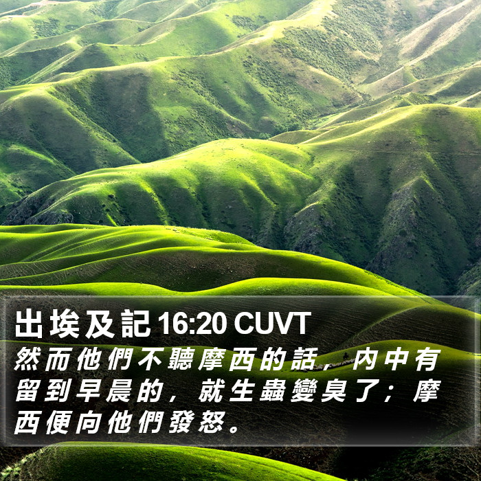 出 埃 及 記 16:20 CUVT Bible Study