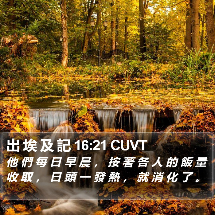 出 埃 及 記 16:21 CUVT Bible Study