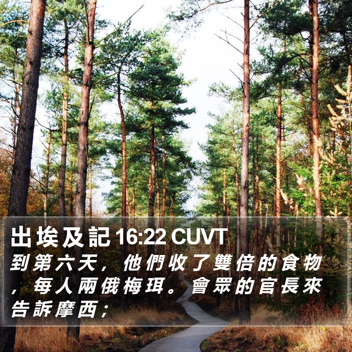 出 埃 及 記 16:22 CUVT Bible Study