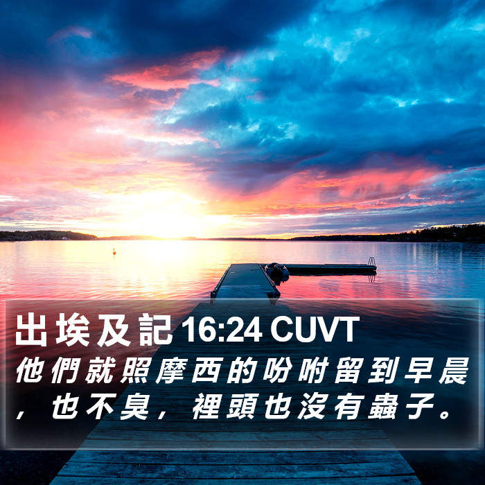 出 埃 及 記 16:24 CUVT Bible Study