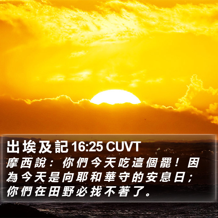 出 埃 及 記 16:25 CUVT Bible Study