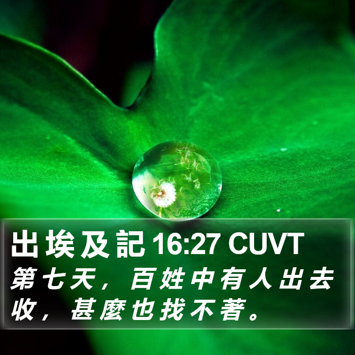 出 埃 及 記 16:27 CUVT Bible Study