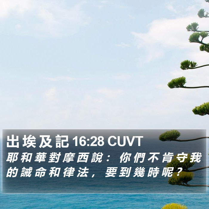 出 埃 及 記 16:28 CUVT Bible Study