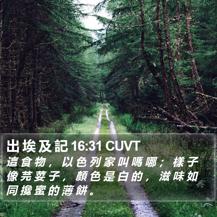 出 埃 及 記 16:31 CUVT Bible Study