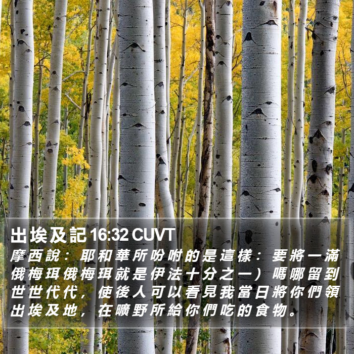 出 埃 及 記 16:32 CUVT Bible Study