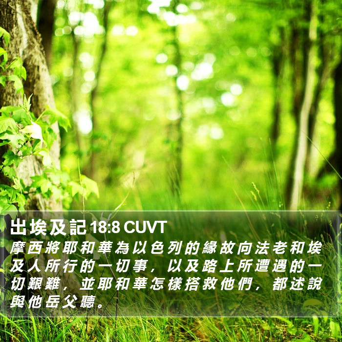 出 埃 及 記 18:8 CUVT Bible Study