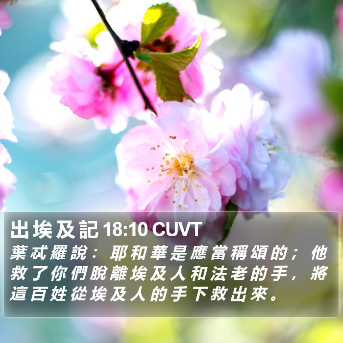 出 埃 及 記 18:10 CUVT Bible Study