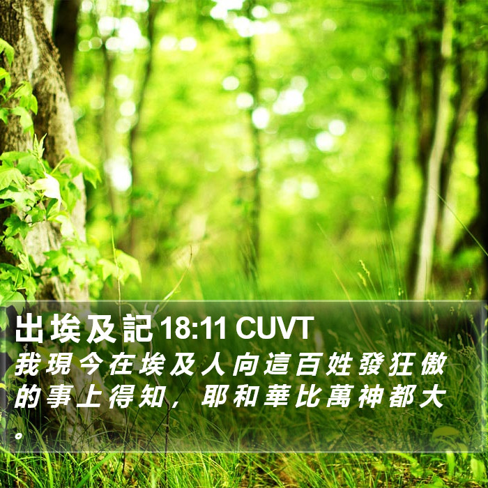 出 埃 及 記 18:11 CUVT Bible Study