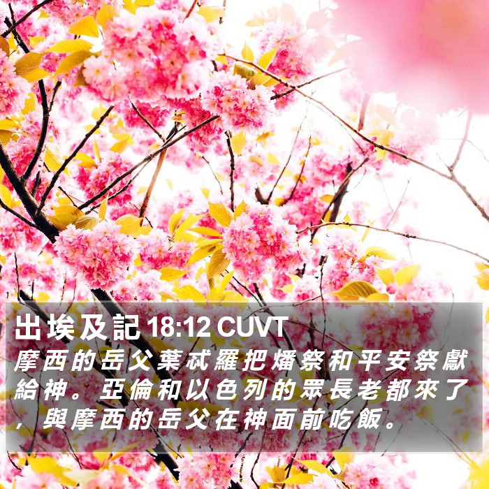 出 埃 及 記 18:12 CUVT Bible Study