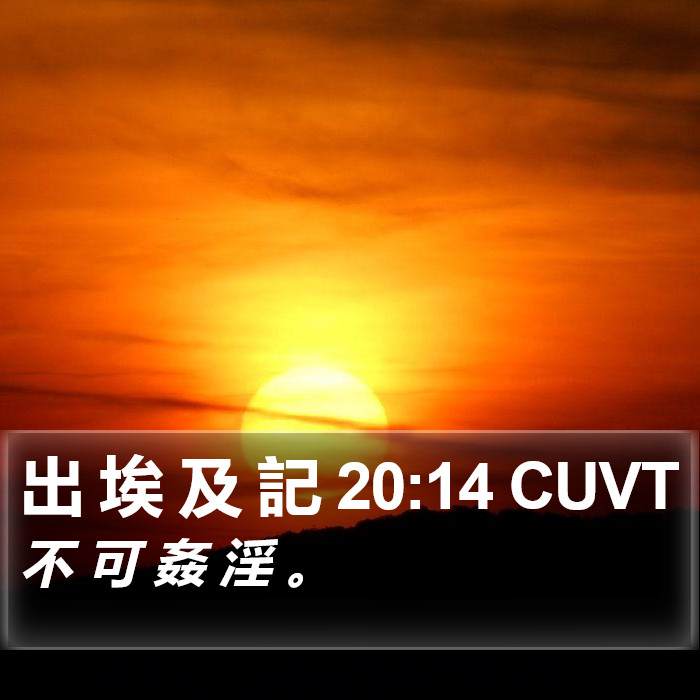 出 埃 及 記 20:14 CUVT Bible Study