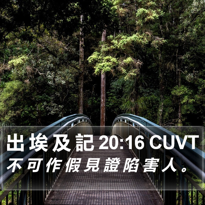 出 埃 及 記 20:16 CUVT Bible Study
