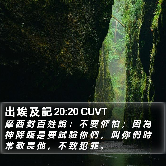 出 埃 及 記 20:20 CUVT Bible Study