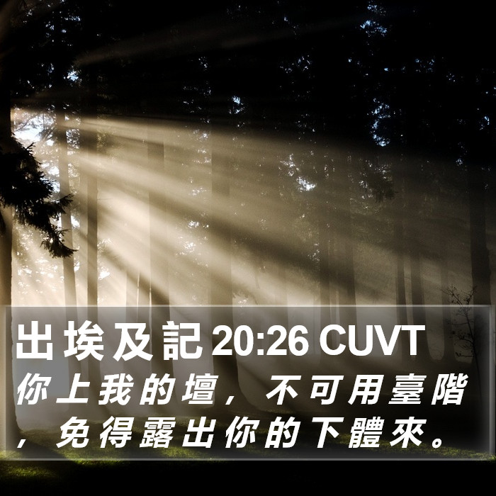 出 埃 及 記 20:26 CUVT Bible Study