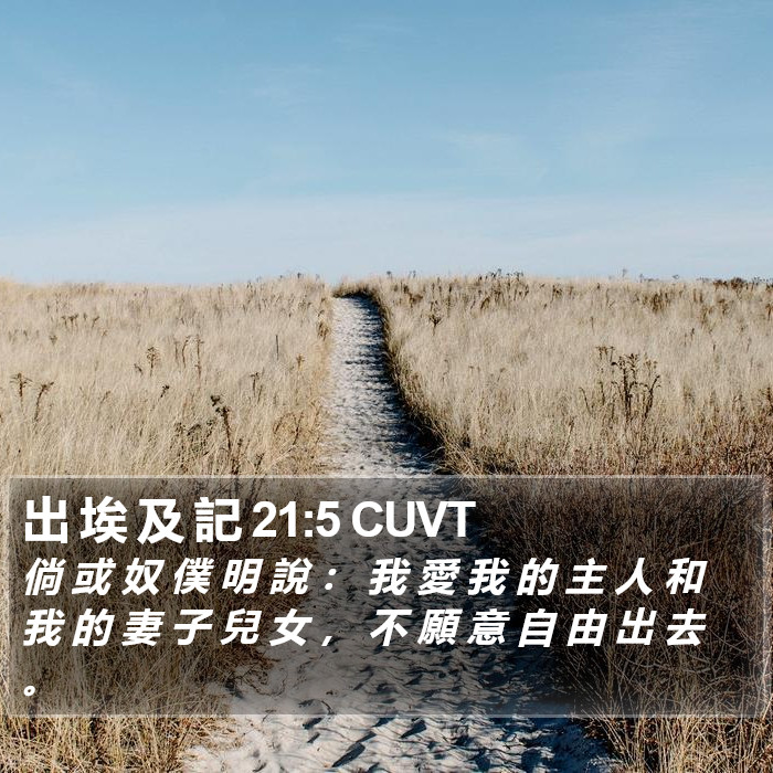 出 埃 及 記 21:5 CUVT Bible Study