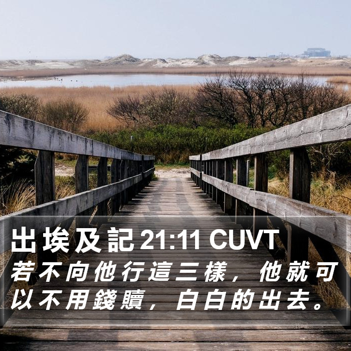 出 埃 及 記 21:11 CUVT Bible Study