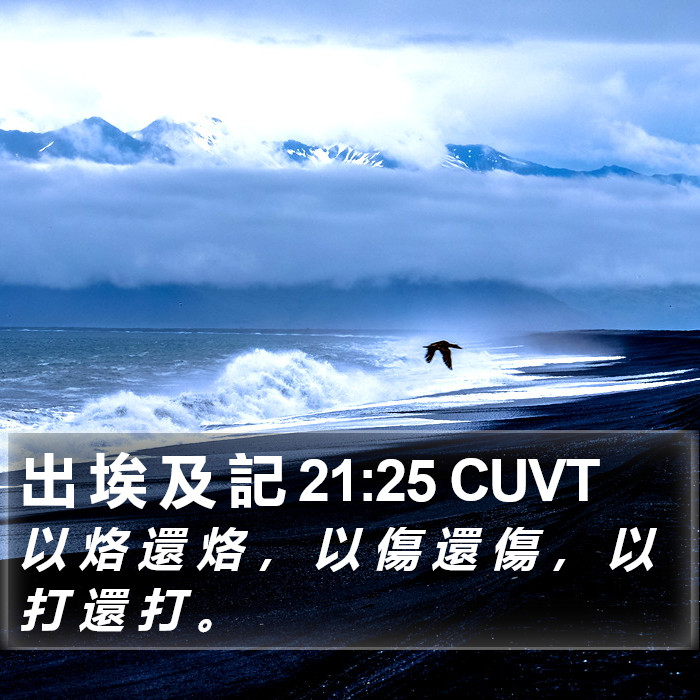 出 埃 及 記 21:25 CUVT Bible Study