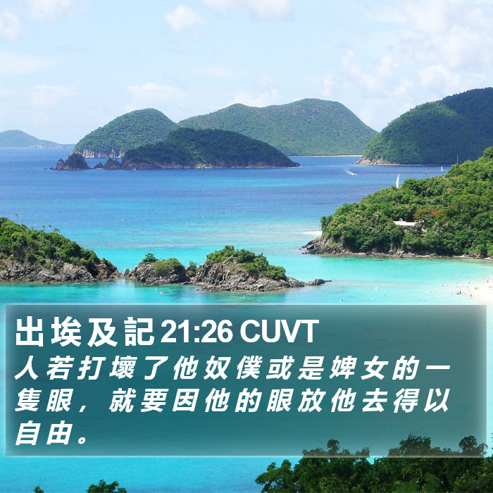 出 埃 及 記 21:26 CUVT Bible Study