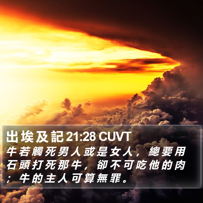 出 埃 及 記 21:28 CUVT Bible Study