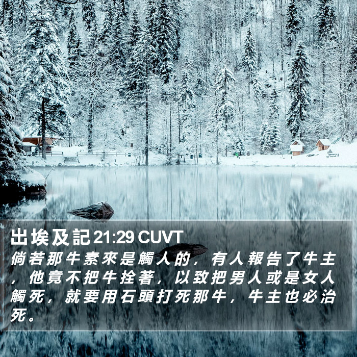 出 埃 及 記 21:29 CUVT Bible Study