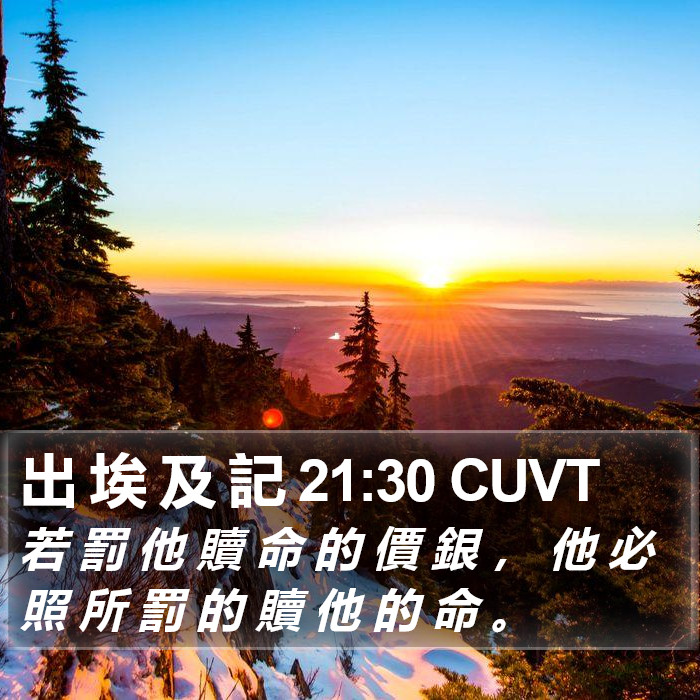 出 埃 及 記 21:30 CUVT Bible Study